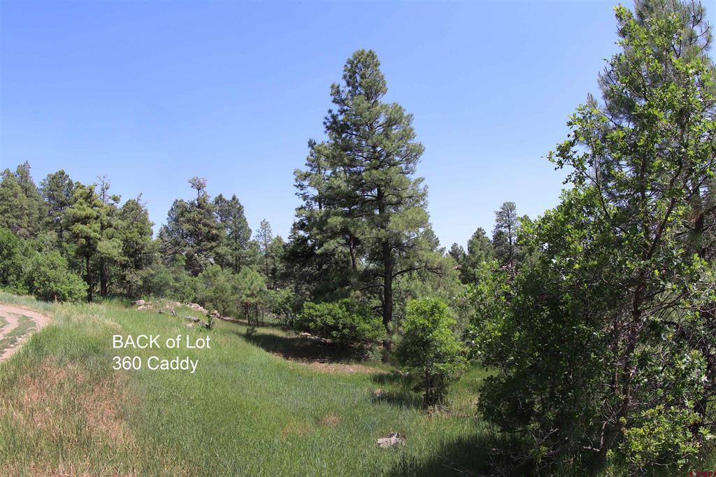 360 Caddy Circle Pagosa Springs CO 81147