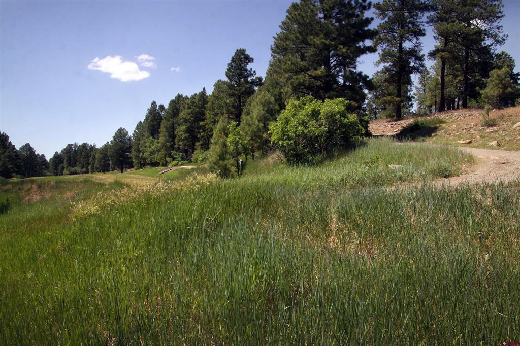 360 Caddy Circle Pagosa Springs CO 81147