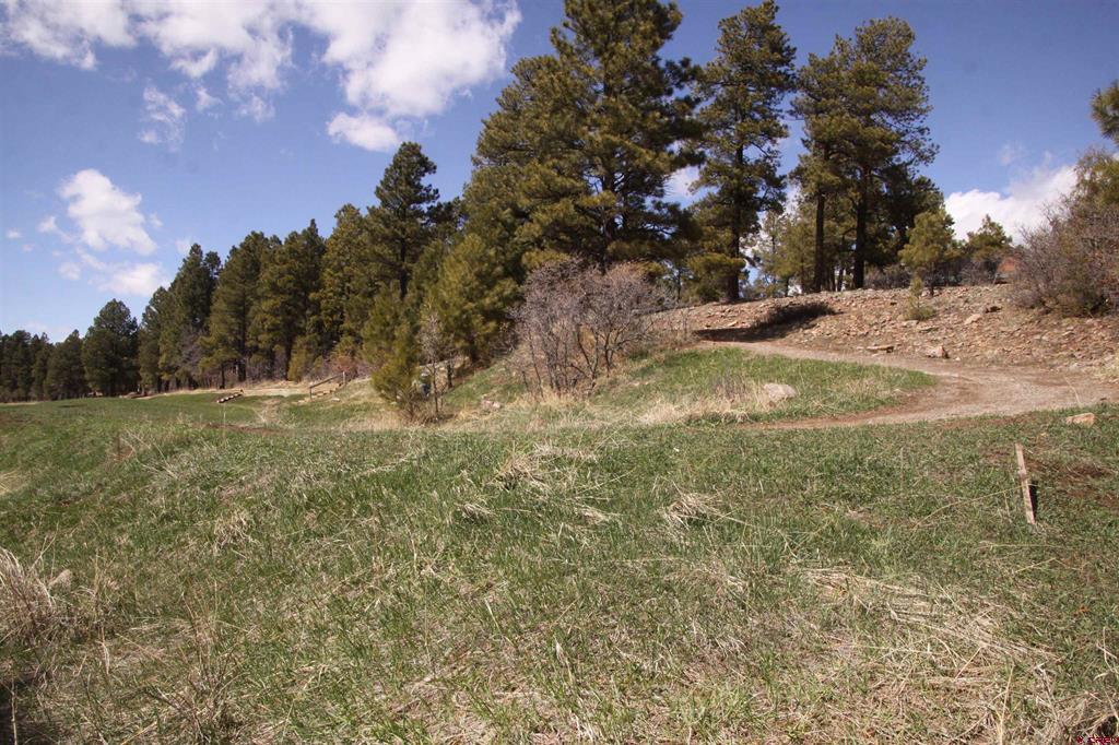 360 Caddy Circle Pagosa Springs CO 81147