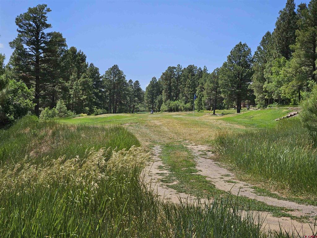 360 Caddy Circle Pagosa Springs CO 81147