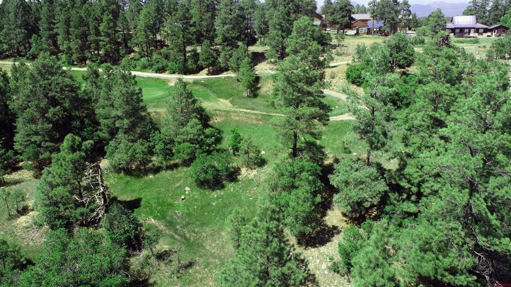 360 Caddy Circle Pagosa Springs CO 81147