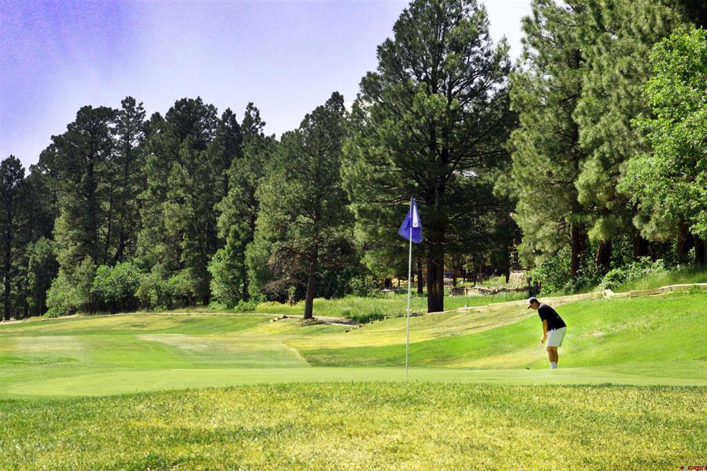 360 Caddy Circle Pagosa Springs CO 81147