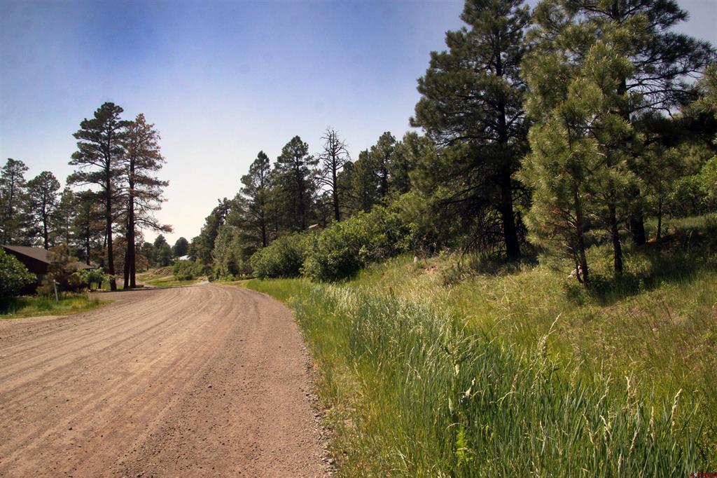 360 Caddy Circle Pagosa Springs CO 81147