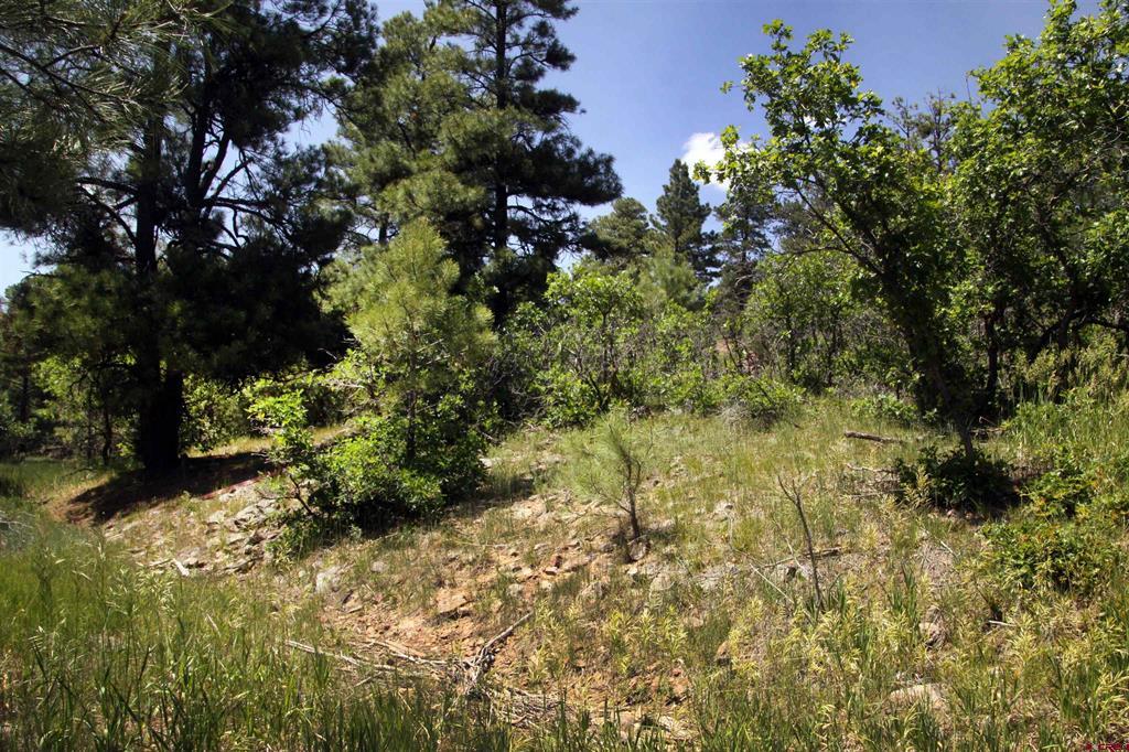 360 Caddy Circle Pagosa Springs CO 81147