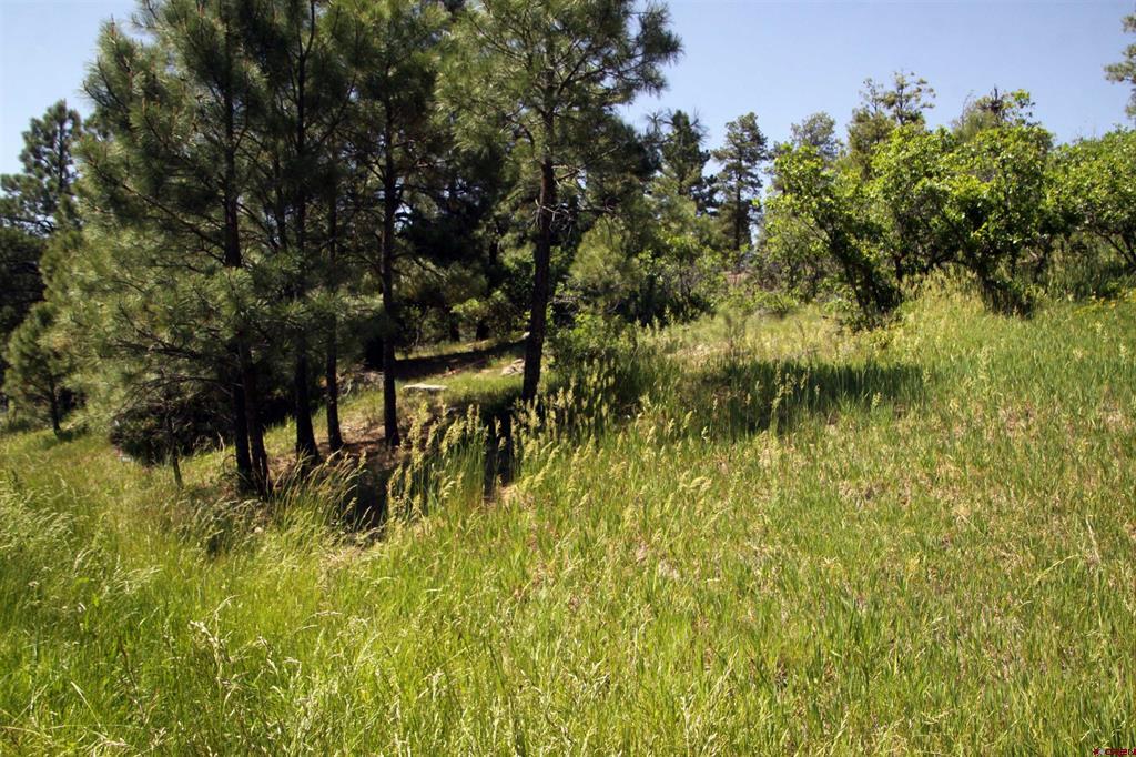360 Caddy Circle Pagosa Springs CO 81147