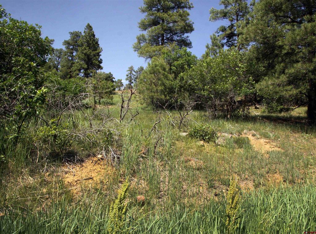 360 Caddy Circle Pagosa Springs CO 81147