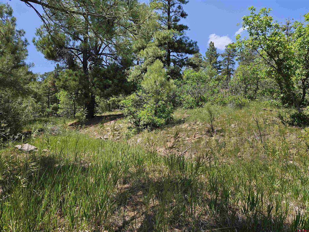 360 Caddy Circle Pagosa Springs CO 81147