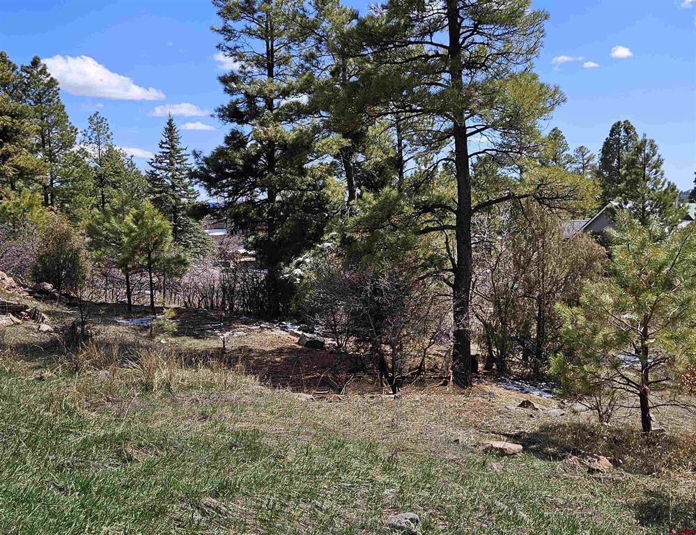 360 Caddy Circle Pagosa Springs CO 81147