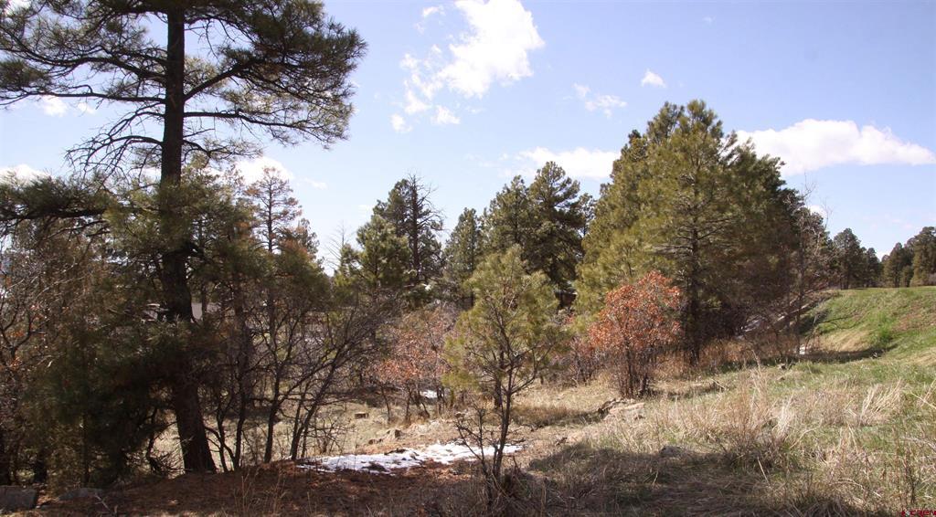 360 Caddy Circle Pagosa Springs CO 81147