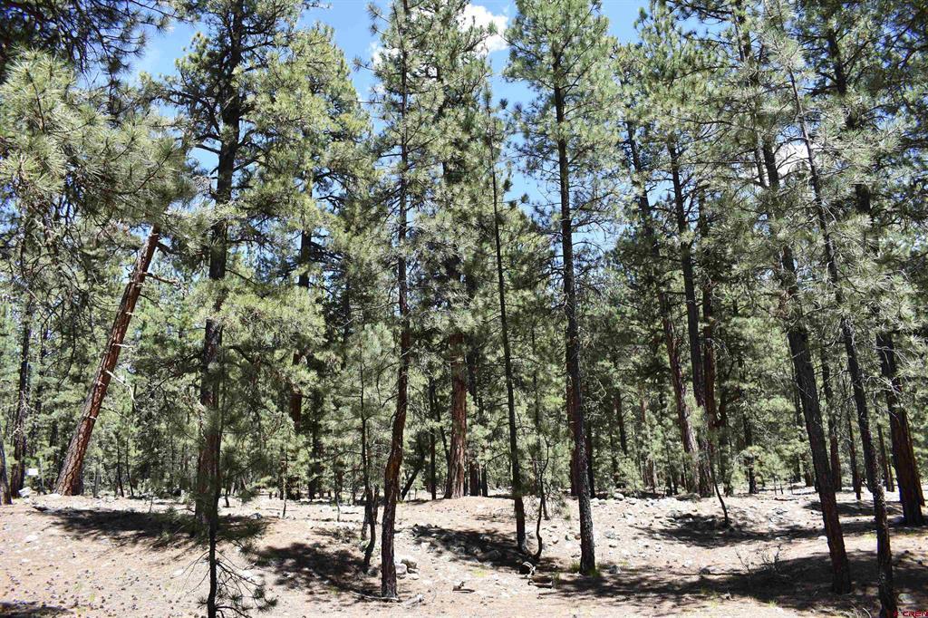 80 Ranch Road Vallecito Lake/bayfield CO 81122