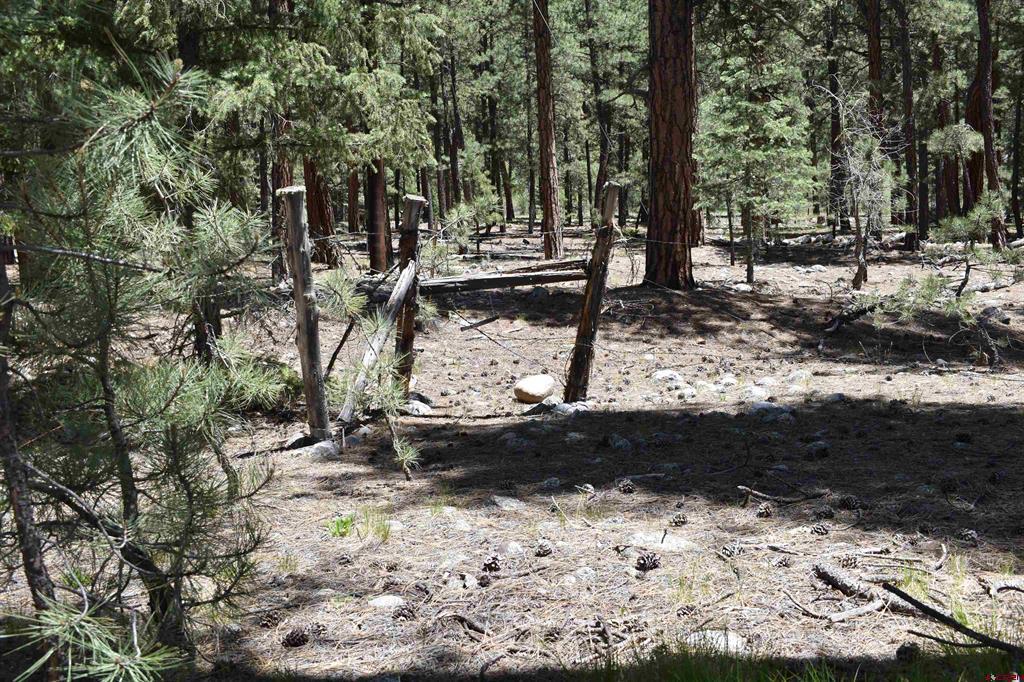 80 Ranch Road Vallecito Lake/bayfield CO 81122