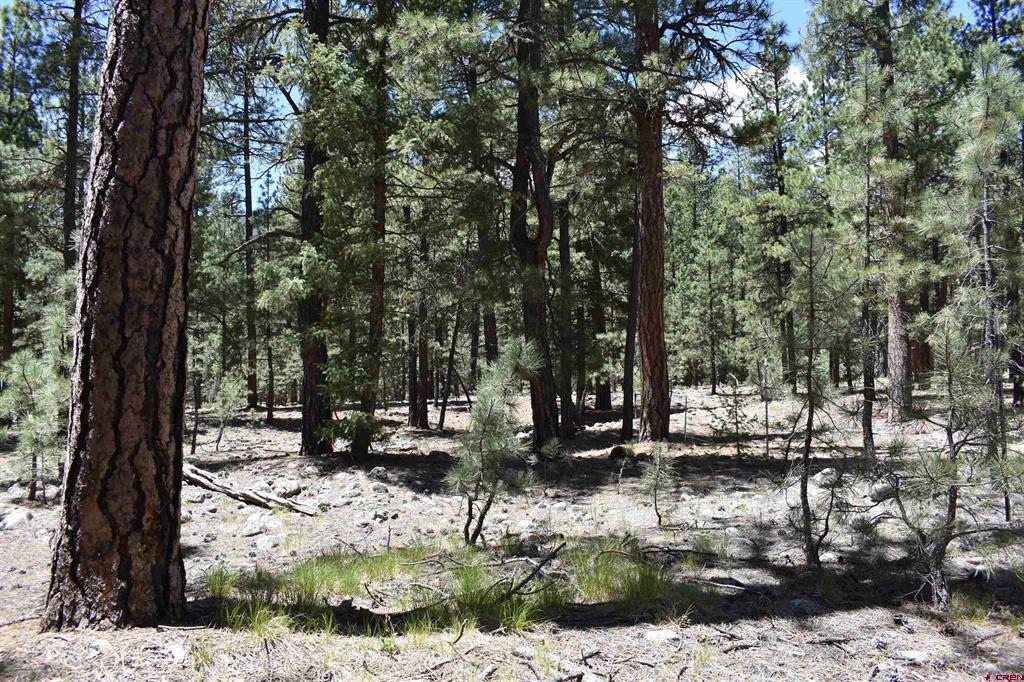 80 Ranch Road Vallecito Lake/bayfield CO 81122