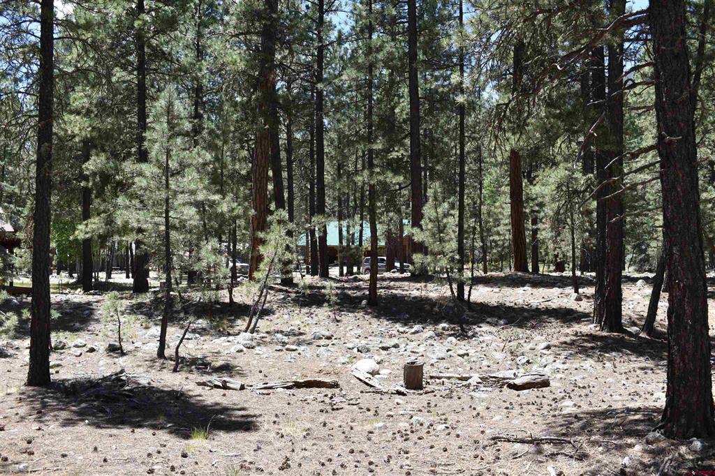 80 Ranch Road Vallecito Lake/bayfield CO 81122