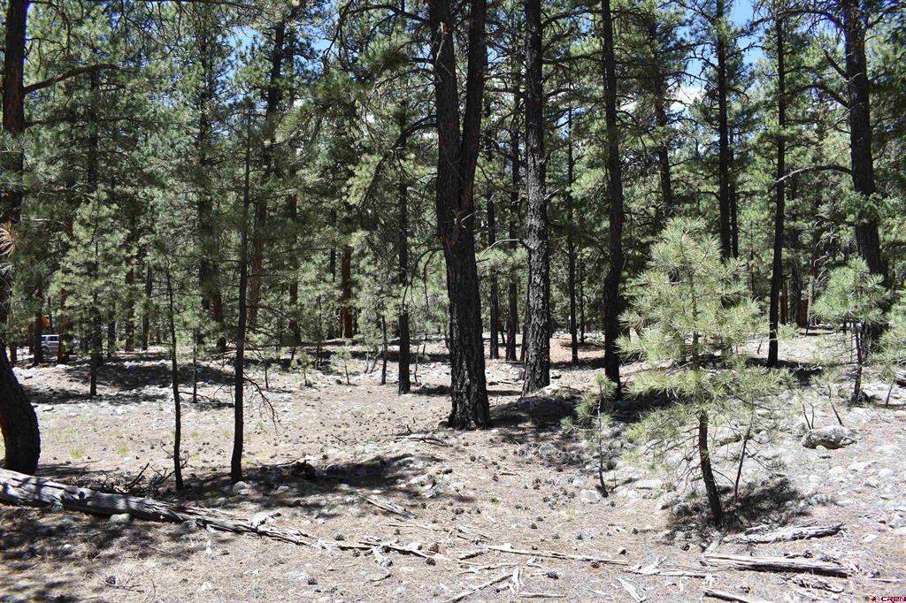 80 Ranch Road Vallecito Lake/bayfield CO 81122