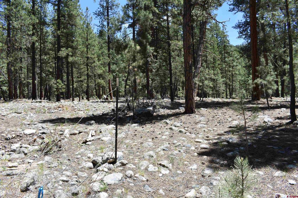 80 Ranch Road Vallecito Lake/bayfield CO 81122
