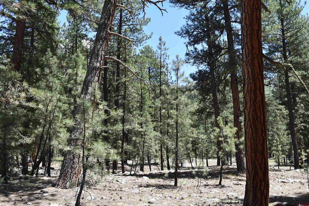 80 Ranch Road Vallecito Lake/bayfield CO 81122