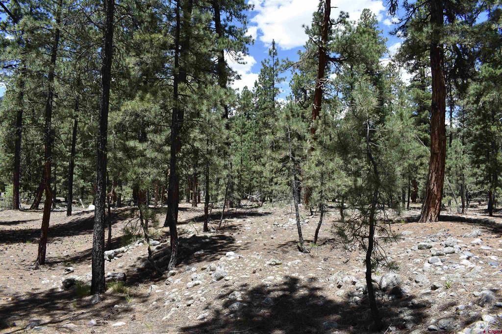 80 Ranch Road Vallecito Lake/bayfield CO 81122