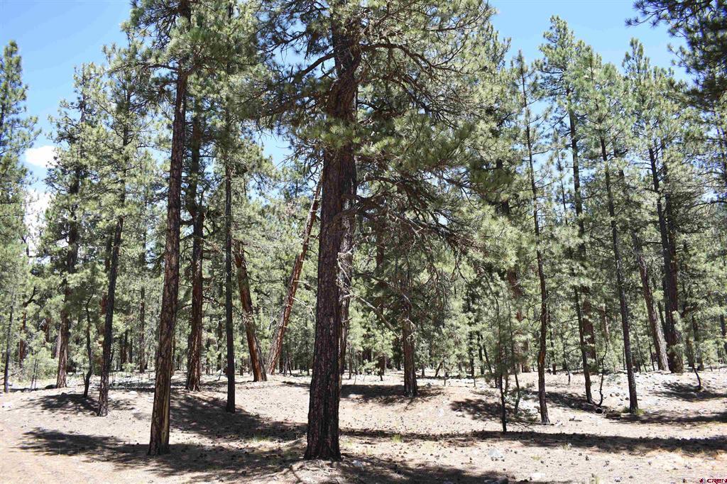80 Ranch Road Vallecito Lake/bayfield CO 81122