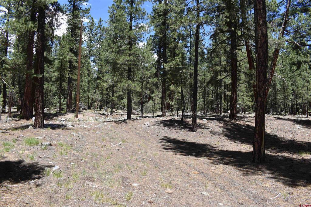 80 Ranch Road Vallecito Lake/bayfield CO 81122