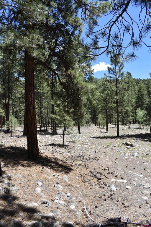 80 Ranch Road Vallecito Lake/bayfield CO 81122