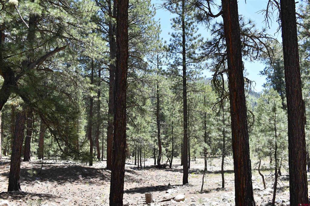 80 Ranch Road Vallecito Lake/bayfield CO 81122