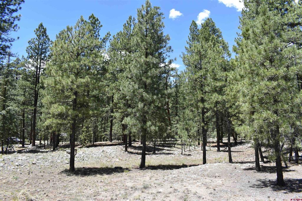80 Ranch Road Vallecito Lake/bayfield CO 81122