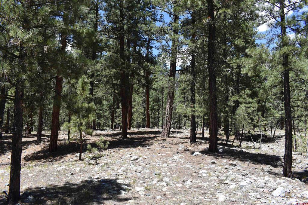 80 Ranch Road Vallecito Lake/bayfield CO 81122