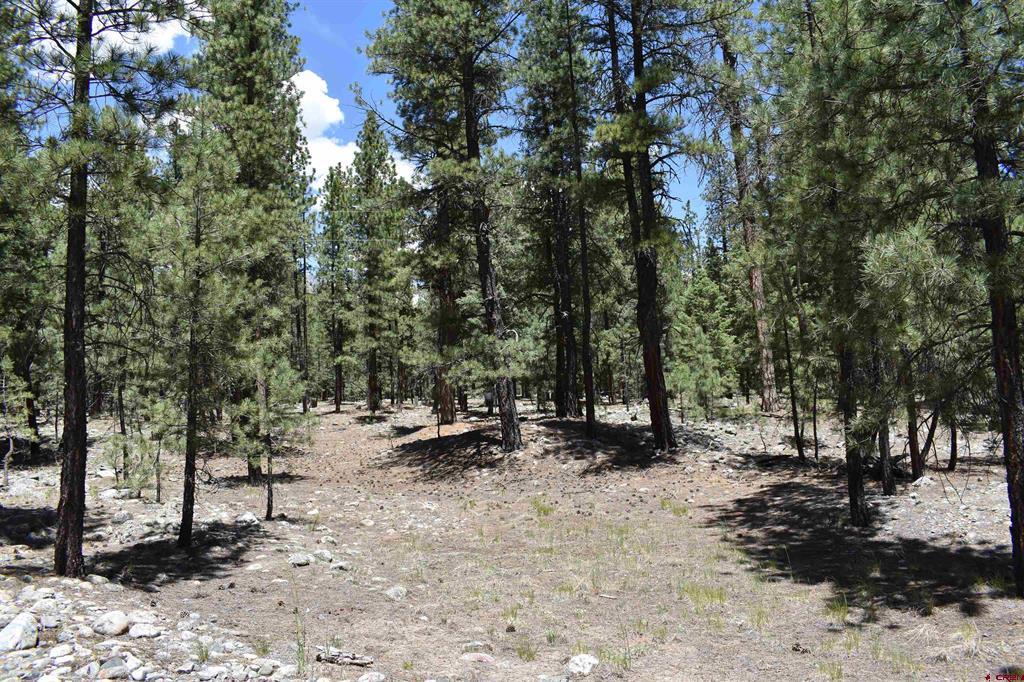 80 Ranch Road Vallecito Lake/bayfield CO 81122