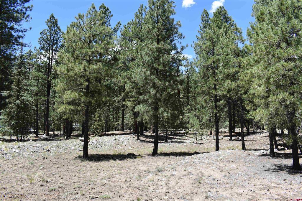 80 Ranch Road Vallecito Lake/bayfield CO 81122