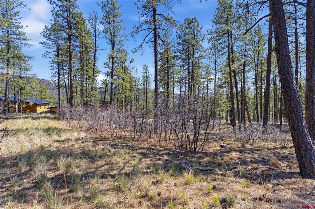 1096 Red Canyon Trail Durango CO 81301