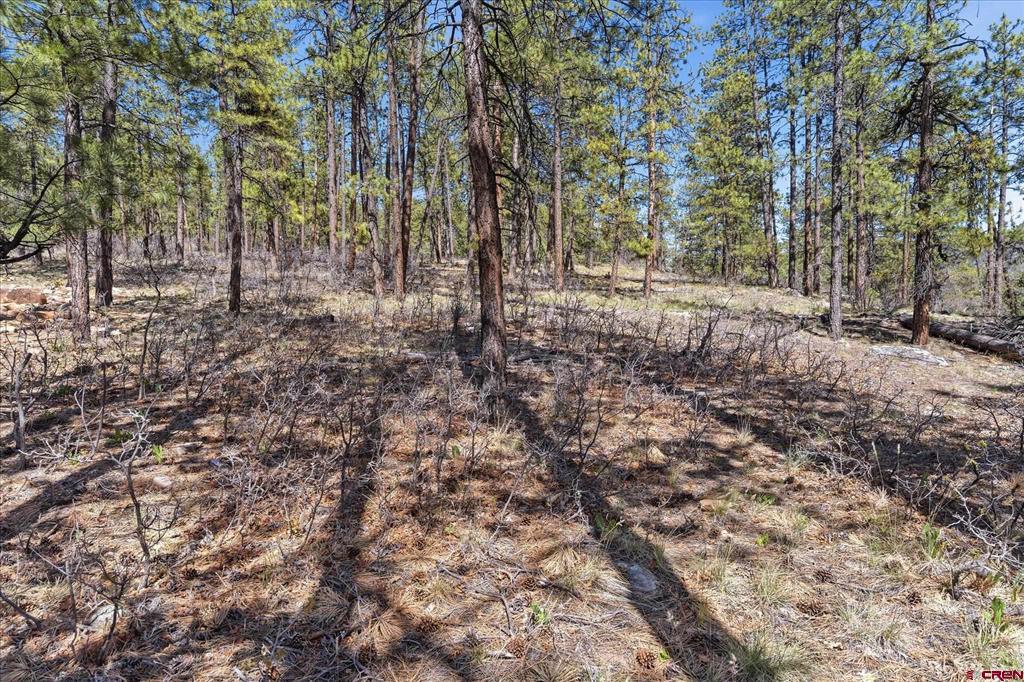 1096 Red Canyon Trail Durango CO 81301