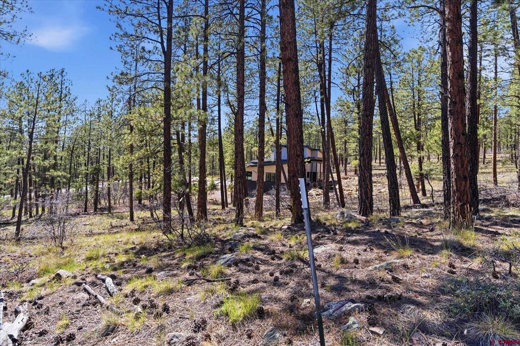 1096 Red Canyon Trail Durango CO 81301