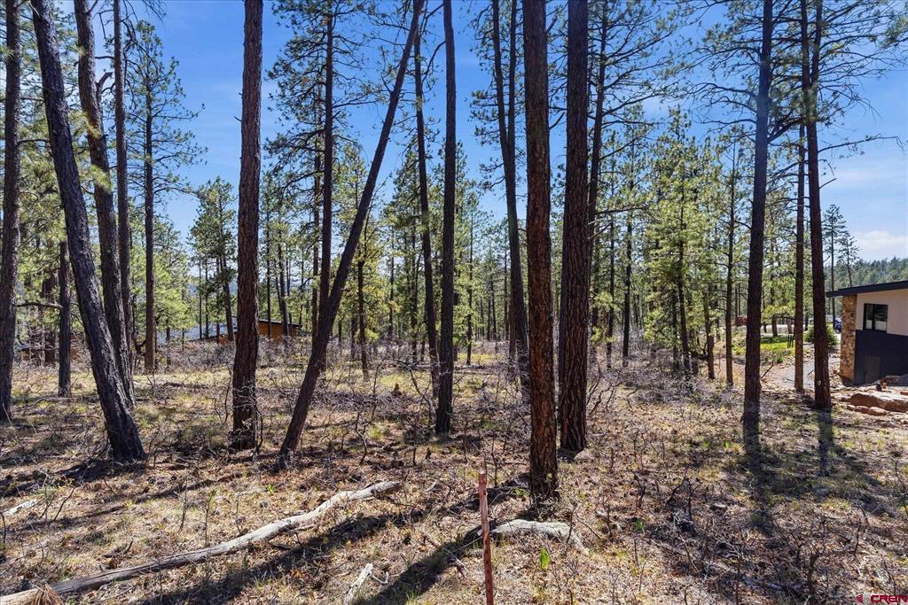 1096 Red Canyon Trail Durango CO 81301