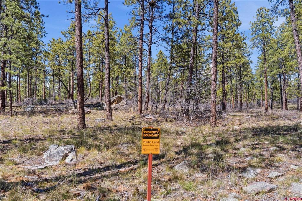 1096 Red Canyon Trail Durango CO 81301