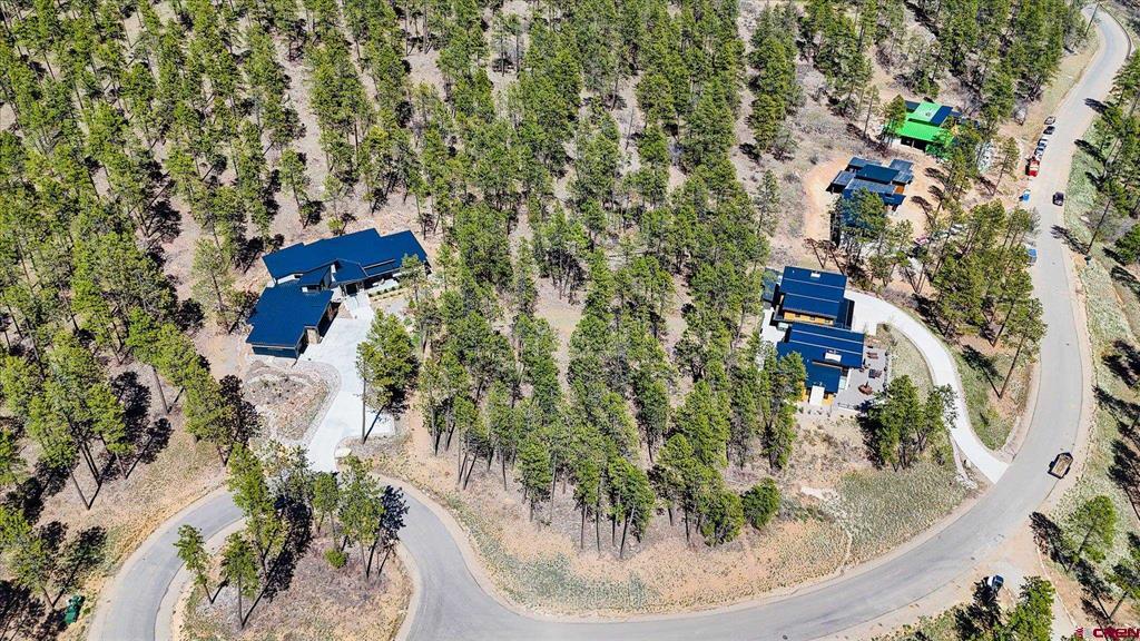 1096 Red Canyon Trail Durango CO 81301