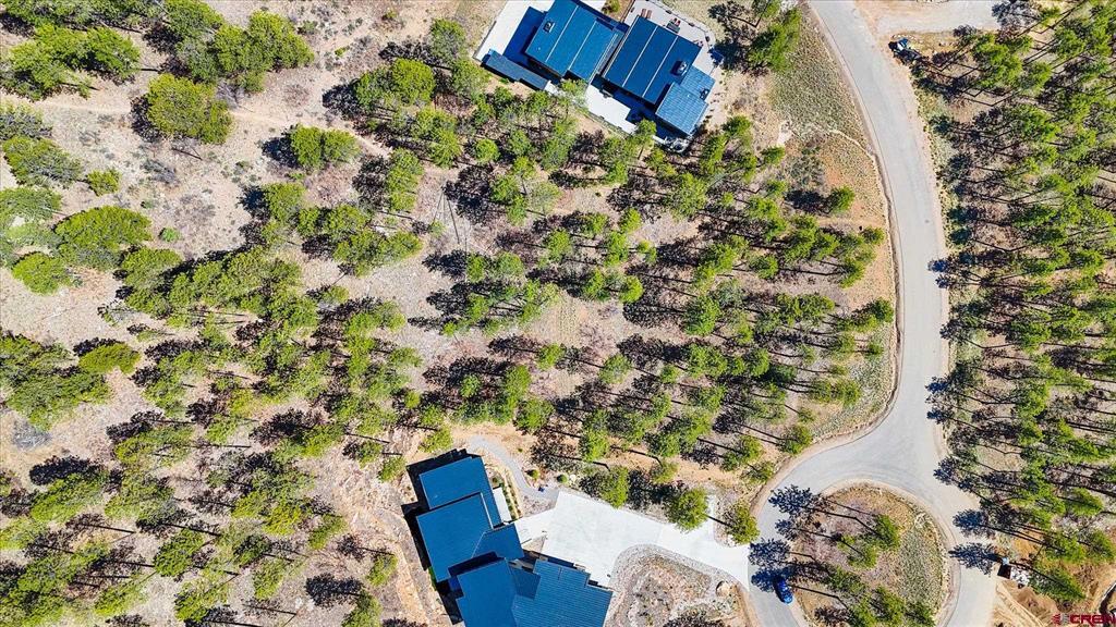 1096 Red Canyon Trail Durango CO 81301