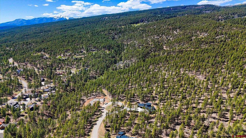 1096 Red Canyon Trail Durango CO 81301