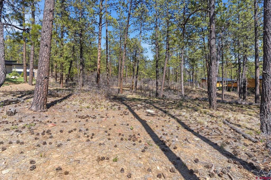 1096 Red Canyon Trail Durango CO 81301