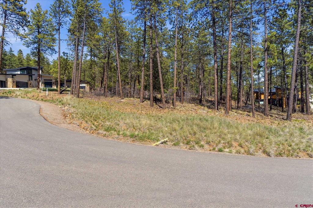 1096 Red Canyon Trail Durango CO 81301