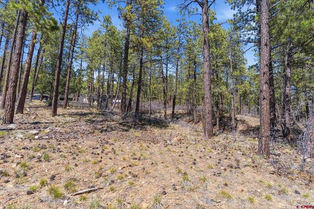 1096 Red Canyon Trail Durango CO 81301