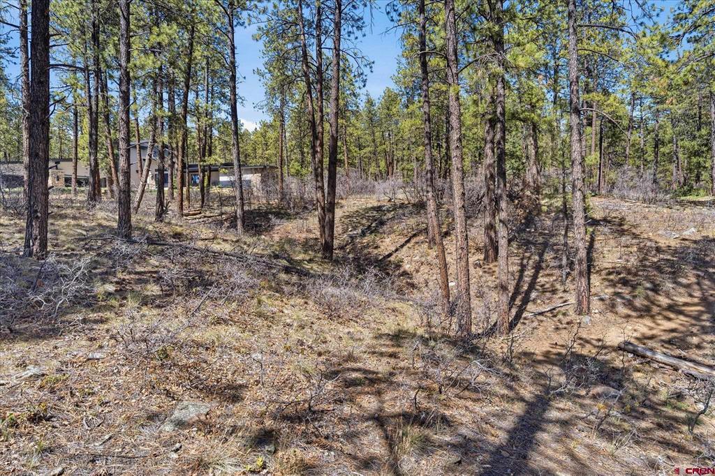 1096 Red Canyon Trail Durango CO 81301