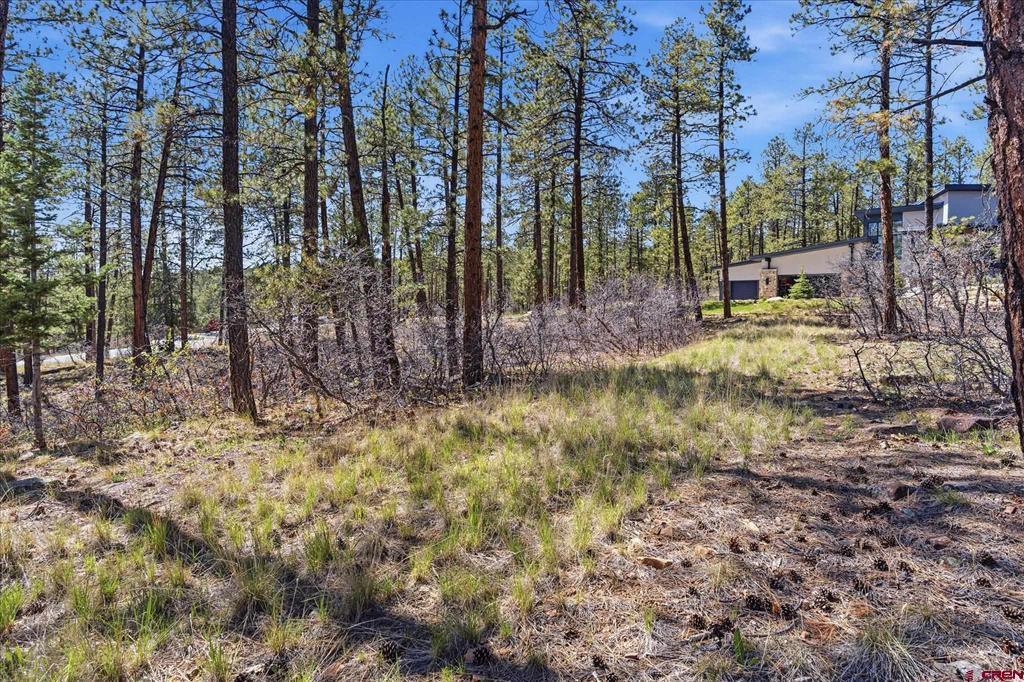 1096 Red Canyon Trail Durango CO 81301