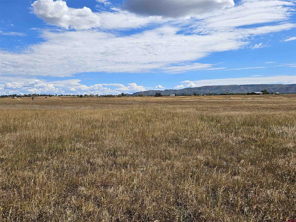 Tbd County Road 129 Hesperus CO 81326