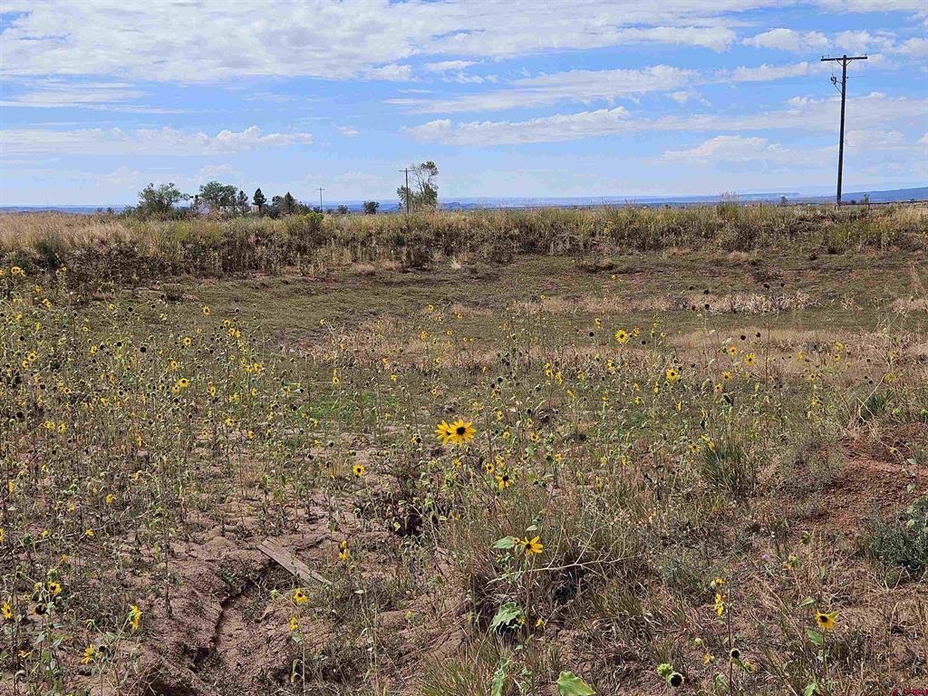Tbd County Road 129 Hesperus CO 81326