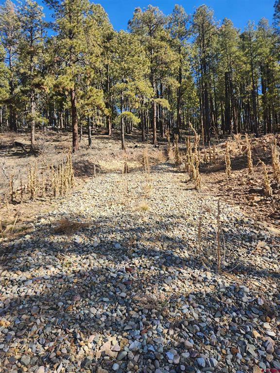 259 Deer Ridge Drive Bayfield CO 81122