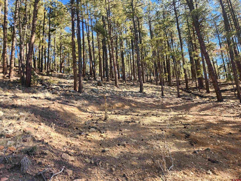 259 Deer Ridge Drive Bayfield CO 81122