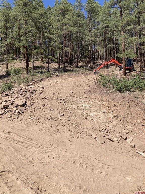 259 Deer Ridge Drive Bayfield CO 81122