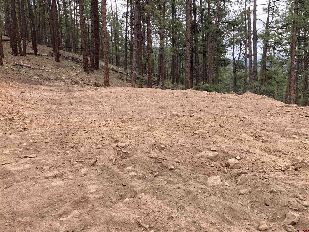 259 Deer Ridge Drive Bayfield CO 81122