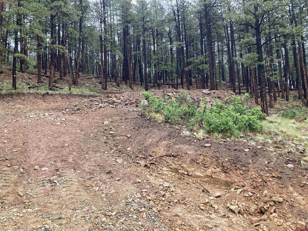 259 Deer Ridge Drive Bayfield CO 81122