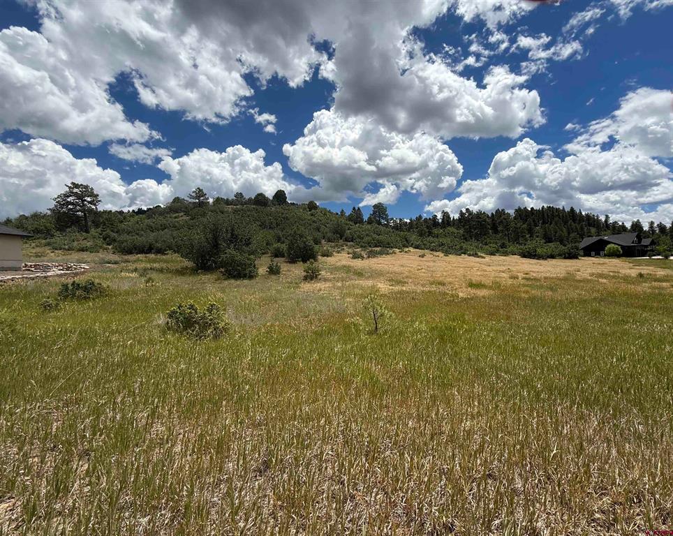 213 Dylan Drive Pagosa Springs CO 81147